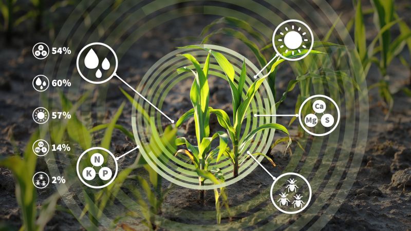 Imagem Analise Foliar