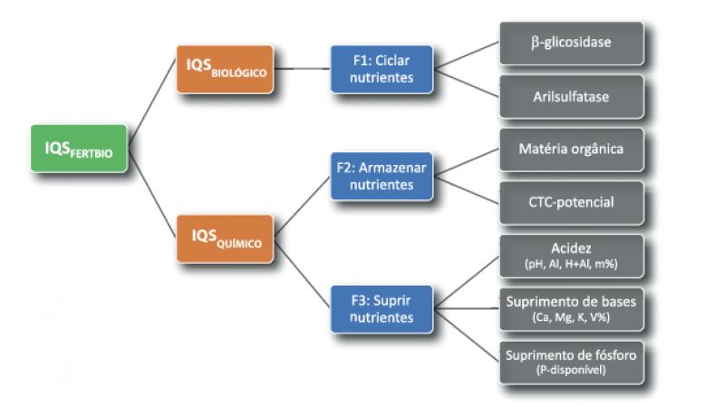 Bioanálise como Indicadores de Qualidade de Solo