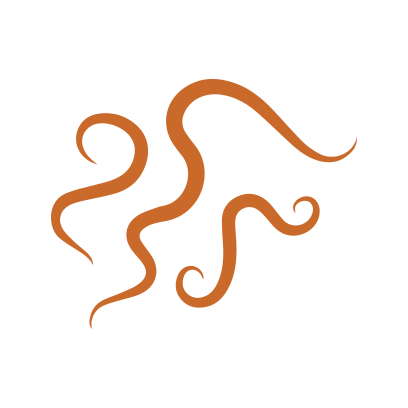 Nematoides